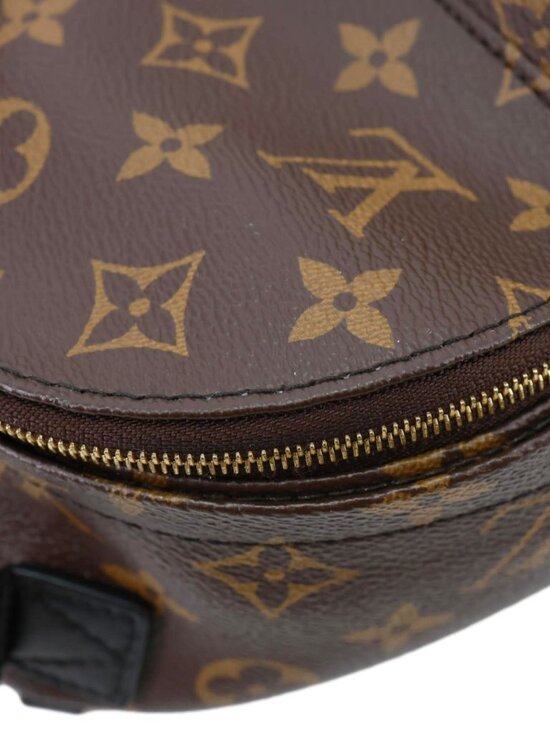 Louis Vuitton  Palm Spring Mini Monogram Canvas Backpack Brown main image 9